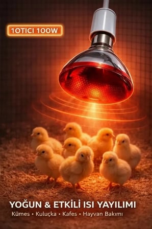 100W Isıtıcı Ampul Kırmızı Isı Lambası Civciv Kümes Kuluçka E27 Duy Isıtma Ampulü