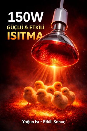 150W Isıtıcı Ampul Kırmızı Isı Lambası Civciv Kümes Kuluçka E27 Duy Isıtma Ampulü