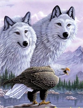 3 Boyutlu Resim  Kartallı Kurt Resmi Tablosu 40x60 Cm