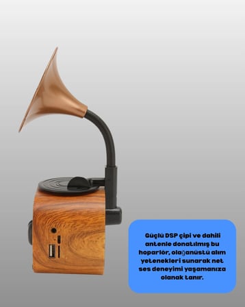Kablosuz Retro Radyo Hoparlör 5W Güçlü Ses USB Hafıza Kart Destekli Yeni Nesil