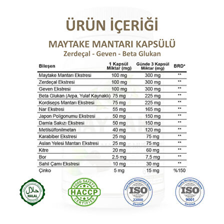 Maytake Kapsül (MAİTAKE MUSHROOM CAPSULE)