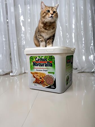 Ceviz Kabuğundan Yapılmış Doğal Kedi Kumu; Aktif Karbonlu, %100 Organik