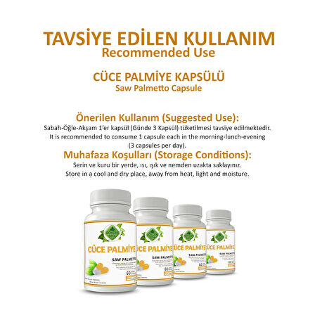 Cüce Palmiye Kapsül (SAW PALMETTO CAPSULE)