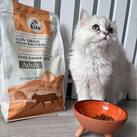 3 adet 2 kg yetişkin kedi maması