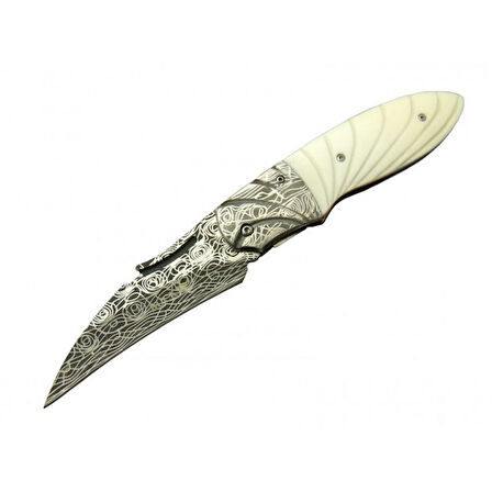 Buck Damascus Desenli Çakı BK-3208-23 CM