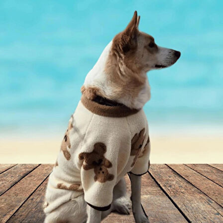 Gedyco Bear Premium Peluş Orta Irk Köpek Sweatshirtü (8 kg-20 kg arası köpeklere uygundur)