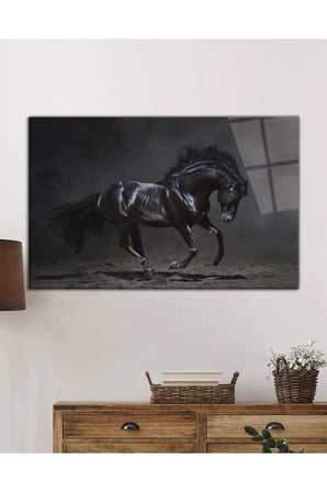 Siyah At Portresi Vahşi Doğa Manzarası Cam Tablo, Temperli ve Rodajlı Dayanıklı  Cam
