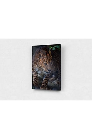Leopar Cam Tablo, Leopar Tablo, Doğa Tabloları, Duvar Dekor, Büyük Tablo, Cam Duvar Tablo