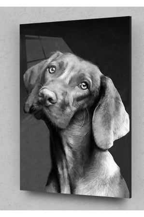 Masum Köpek Cam Tablo, Köpek Tabloları, Doğa Tabloları, Duvar Dekor, Büyük Tablo, Cam Duvar Tablo