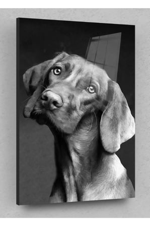 Masum Köpek Cam Tablo, Köpek Tabloları, Doğa Tabloları, Duvar Dekor, Büyük Tablo, Cam Duvar Tablo