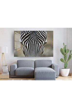 Zebra Cam Tablo, Zebra Tablo, Doğa Tabloları, Duvar Dekor, Büyük Tablo, Cam Duvar Tablo