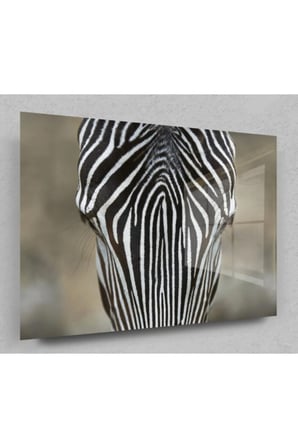 Zebra Cam Tablo, Zebra Tablo, Doğa Tabloları, Duvar Dekor, Büyük Tablo, Cam Duvar Tablo