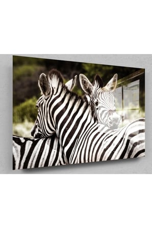 Zebralar Cam Tablo, Doğa Tabloları, Zebra Tablo, Duvar Dekor, Büyük Tablo, Cam Duvar Tablo