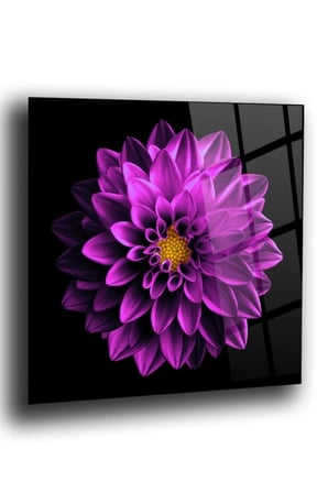 Mor Lotus Cam Tablo | Hediyelik, Dekoratif, Ofis, Mutfak