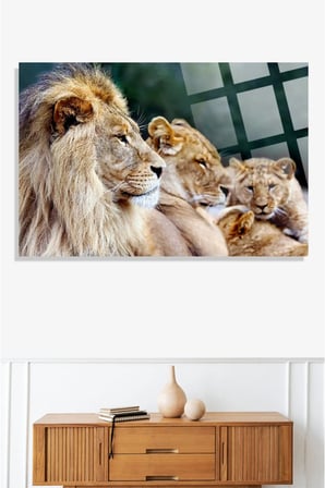 Aslan Ailesi Leo Family 4mm Kırılmaz Temperli Yüksek Çözünürlüklü Cam Tablo