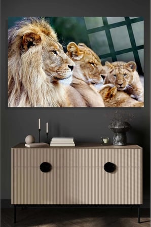 Aslan Ailesi Leo Family 4mm Kırılmaz Temperli Yüksek Çözünürlüklü Cam Tablo