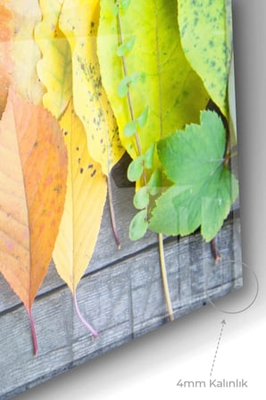 Renkli Yapraklar |çiçekler Temalı Temalı Modern Uv Dijital Baskı Dekoratif Cam Tablo | 50x70 Cm