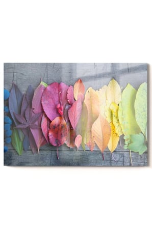 Renkli Yapraklar |çiçekler Temalı Temalı Modern Uv Dijital Baskı Dekoratif Cam Tablo | 50x70 Cm