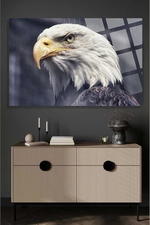 Görkemli Kartal 4mm Lüks Kırılmaz Temperli Yüksek Çözünürlüklü Cam Tablo