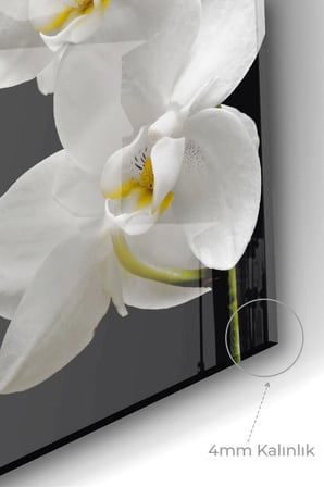 Premium Mutfak Cam Ocak Arkası Koruyucu Tezgah Ankastre Arkası Koruyucu 50x76cm | Çiçek Siyah