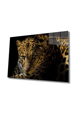 Leopar Hayvan Portresi Cam Tablo, Darbelere Dayanıklı Kırılmaz Temperli