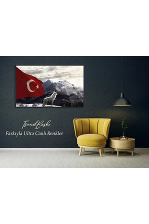 Kurt Türkçülük Ülkücülük 4mm Kırılmaz Temperli Yüksek Çözünürlüklü Cam Tablo