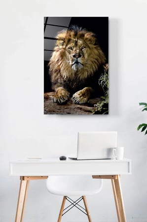Aslan Cam Tablo, Dekoratif Cam Tablo