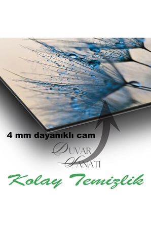 Mavi Karahindiba Yatay Cam Tablo, Modern Ev Salon Ofis Dekorasyonu Hediyelik Büyük Duvar Dekoru