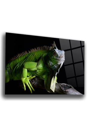 Iguana Cam Tablo | Hediyelik, Dekoratif, Ofis, Mutfak