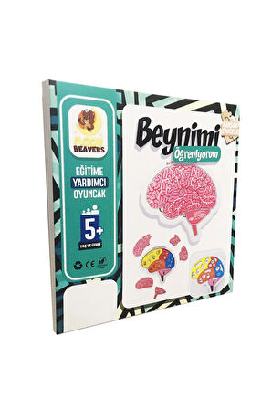 Beynimi Öğreniyorum Ahşap Puzzle - Çocuk Yapboz - 5 Yaş Ve Üzeri Eğitime Yardımcı Oyuncak