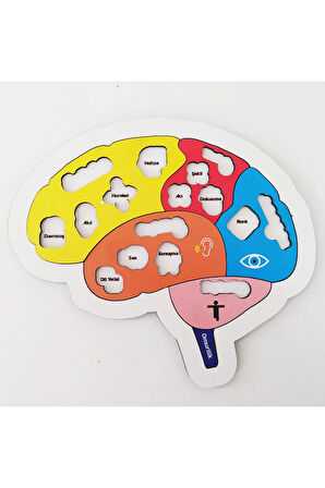 Beynimi Öğreniyorum Ahşap Puzzle - Çocuk Yapboz - 5 Yaş Ve Üzeri Eğitime Yardımcı Oyuncak