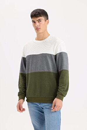 DeFacto Regular Fit Bisiklet Yaka Renk Bloklu Jakarlı Sweatshirt D5393AX24AUGN351