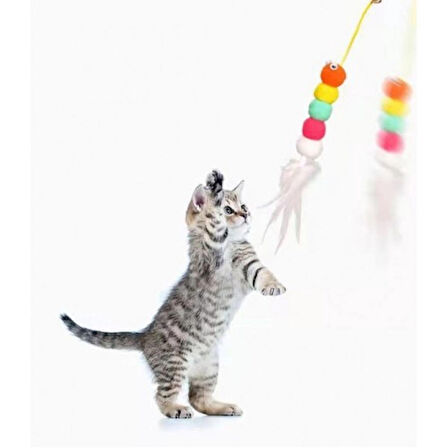 BakGelAl Elastik Kendinden Yapışkanlı Kedi Oyun Oltası