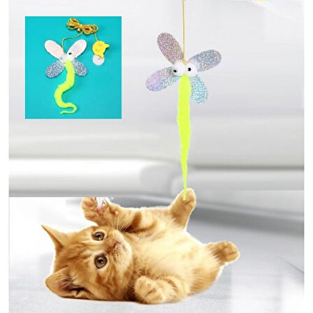 BakGelAl Kelebek Model Kedi Oltası