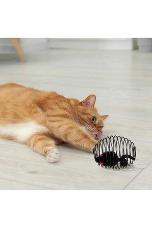 Kedi Oyuncağı Spiral Tel Top & İçinde Peluş Fare, Kediler İçin Etkileşimli Eğlence Oyuncağı