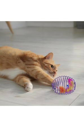 Kedi Oyuncağı Spiral Tel Top & İçinde Peluş Fare, Kediler İçin Etkileşimli Eğlence Oyuncağı