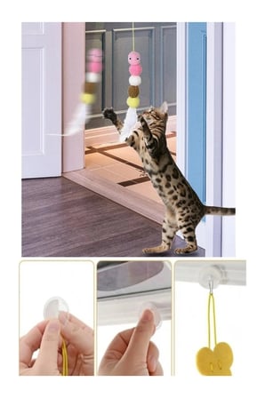 BakGelAl Kendinden Yapışkanlı Vakumlu Renkli Kedi Oltası, Eğitim ve Oyun Oyuncağı