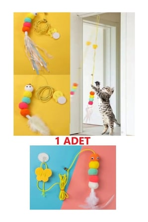 BakGelAl Kendinden Yapışkanlı Vakumlu Renkli Kedi Oltası, Eğitim ve Oyun Oyuncağı