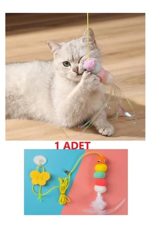 BakGelAl Kendinden Yapışkanlı Vakumlu Renkli Kedi Oltası, Eğitim ve Oyun Oyuncağı