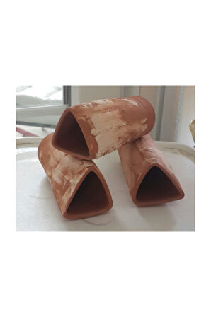 5 Adet Cüce Vatoz Yavruluğu