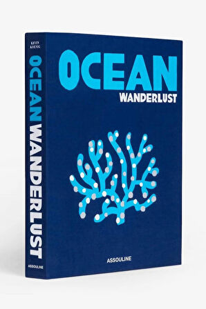 2025 667 OCEAN WANDERLUST