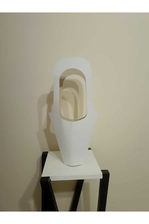 50 Adet Buket ve Saksı Çiçek taşıma için Beyaz Lüks Çanta
