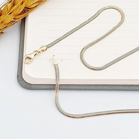 14 Ayar Altın Balıksırtı Zincir