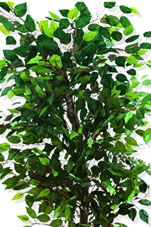 Benjamin 180 Cm Yapay Ağaç Kemerli Saksı