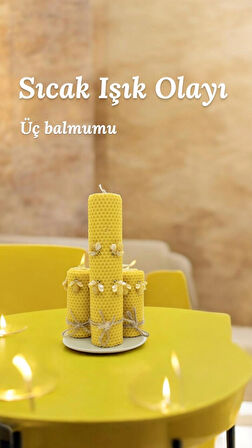  Troya Balmumu Çift Sargı Bal Böceği 3’lü