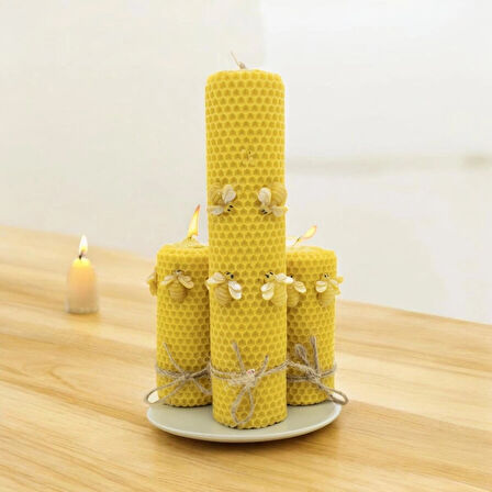  Troya Balmumu Çift Sargı Bal Böceği 3’lü