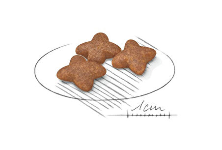 Mini Adult Küçük Irk Yetişkin Köpek Maması 4 Kg