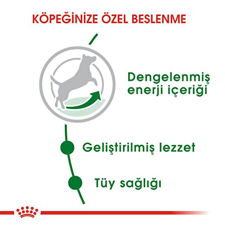 Mini Adult Küçük Irk Yetişkin Köpek Maması 4 Kg