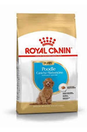 Poodle Puppy 3kg Özel Poodle Yavru Köpek Maması 3kg