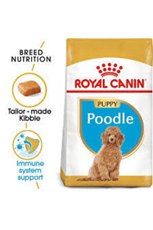 Poodle Puppy 3kg Özel Poodle Yavru Köpek Maması 3kg